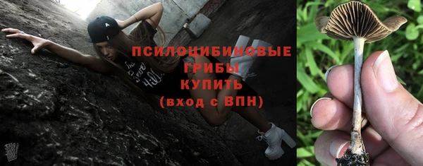 2c-b Абаза