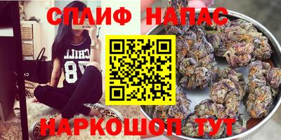jwh Пенза