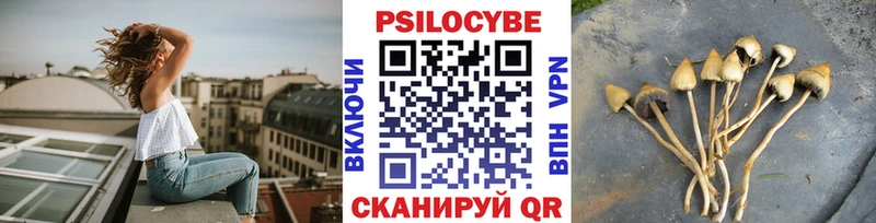 Галлюциногенные грибы Psilocybine cubensis  Сафоново 