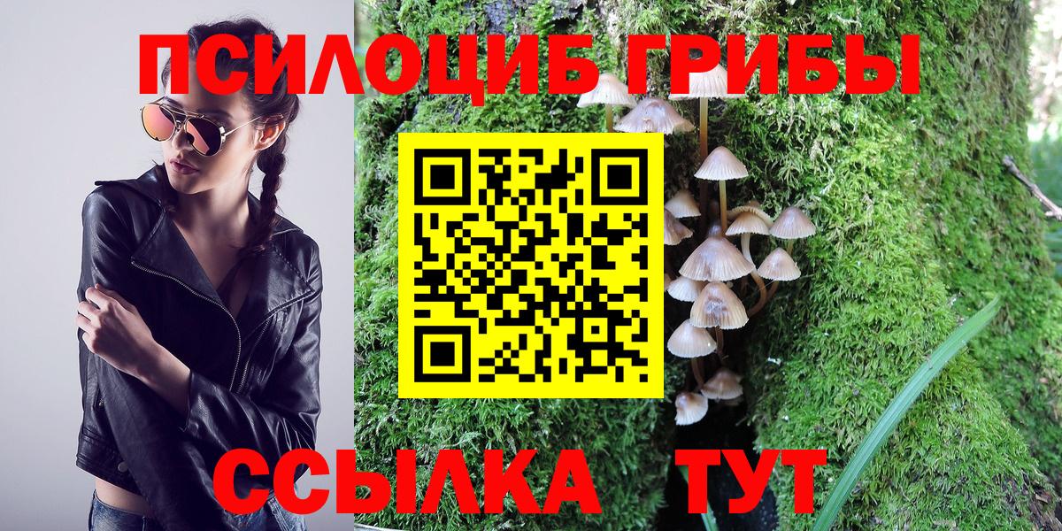 Сафоново  Галлюциногенные грибы Cubensis  Вход с VPN 